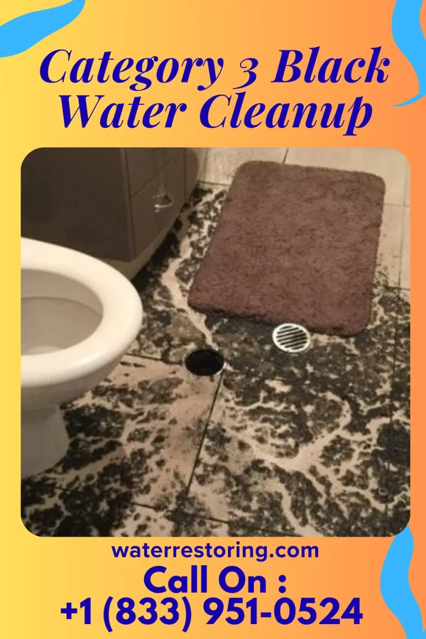 Category 3 Black Water Cleanup in Parkdale, OR